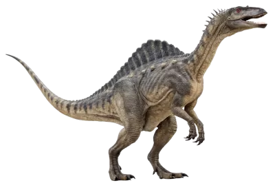 Imagen PNG para descargar